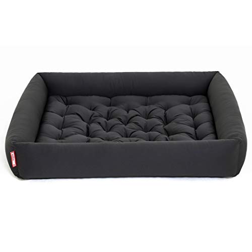 vedea Hundebett inkl. Hundekissen 2tlg. Orthopädisch von Tierärzten entwickelt - 95° waschbar Made in Germany (XXL (80 x 70 x 15 cm), Grau)