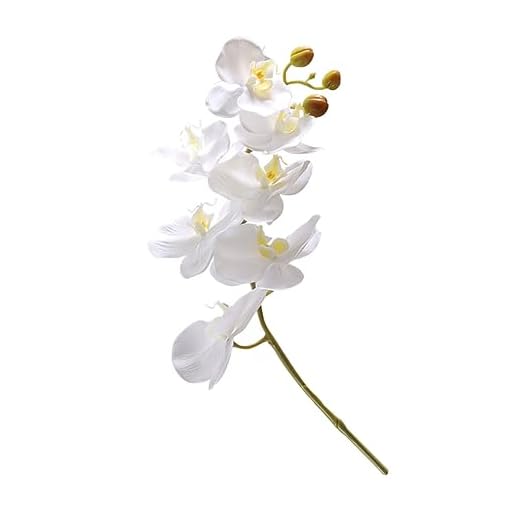 Abaodam Phalaenopsis Artificial De La Flor Plantas Verdes Artificiales Orquídea De Toque Real Ramo De Orquideas Flores De Toque Real Orquídea Blanca Blanco Falaenopsis Sucursal Plástico