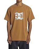 DC Shoes DC Star Classic HSS Camiseta, Chipmunk, Estándar para Hombre