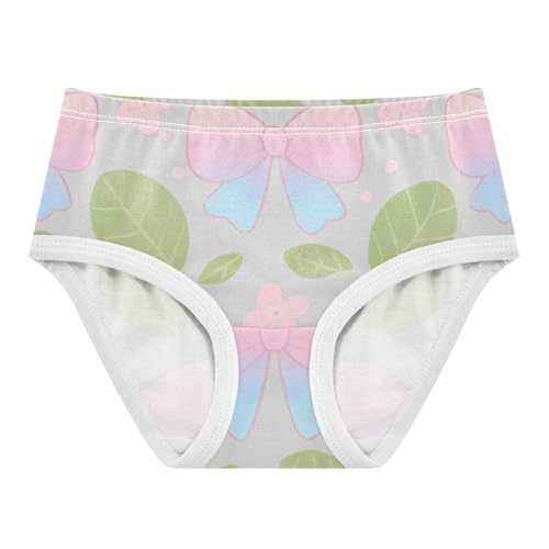 GuoChe Briefs Underwear Breathable Material Organic Cotton Toddler Underwear for Kid in Sizes 2T,3T, 4T, 5T, 6Y and 8Y