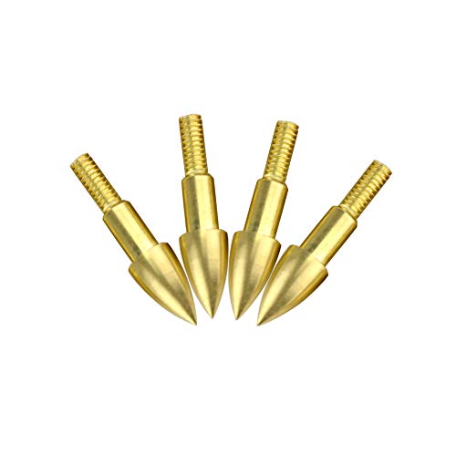 Zshjgjr 24Pcs Archery Target Field Points 75 Grain Screw In Bullet Points Hunting Arrowheads Arrow Tips For Target Hunting Shooting Practice (Gold) #TOP6