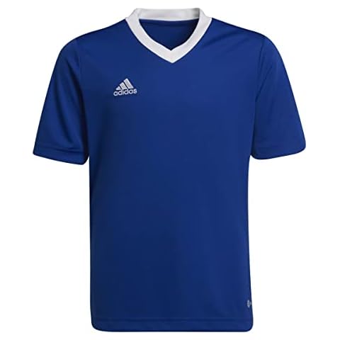 Camiseta adidas ENT22 JSY Y, Unisex Niños, Azul Real, 7-8A Cover