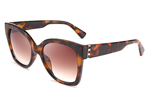 FEISEDY Retro Oversized Square Sunglasses Stylish Colorful Frame Chic Eyewear for Woman and Men B2597