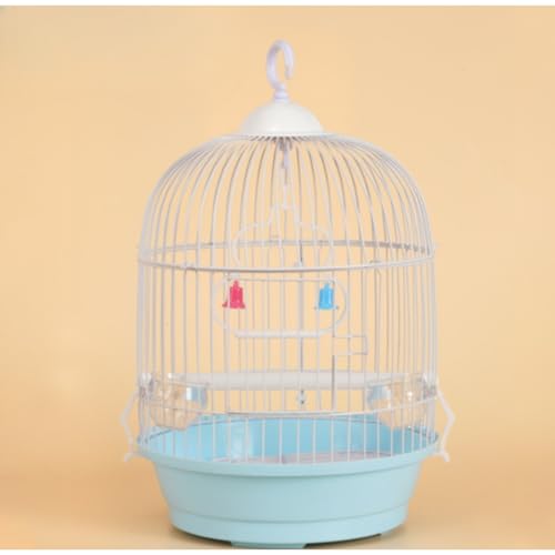 MsiDtsoy IJCR P[W ی^  _F GT o[hnht   Ƃ肩 CeA ^   ړ 䟭 ZLZCCR P[W ȃXy[X ꂩ񂽂 (u[)