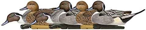 Avian-X Topflight Pintails Durable Ultra Realistic Floating Hunting Duck Decoys, Pack of 6, AVX8082