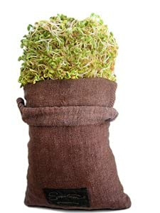 Sproutman Hemp Sprout Bag - Just Dip In Water, Hang It Up, & Watch It Grow #TOP5