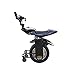 J&LILI Scooter Elettrico del Monociclo Che Equilibra Il Motociclo della Ruota Singola per Adulti 500W con La Ruota Gemellata, con La Ruota di Supporto E L'audio del Bluetooth,Nero