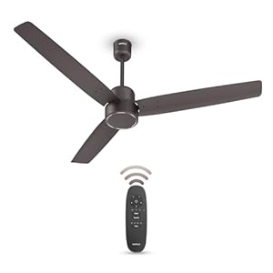 Havells FAB BLDC Ceiling Fan 1200mm, 380 RPM, Savings upto 65%, Reverse Rotation, 4 Modes (Boost, Sleep, Breeze, Mop), Low Wattage 30W, Low Noise, Air Flow:225 CMM, 3 Year Warranty, Cocoa Brown