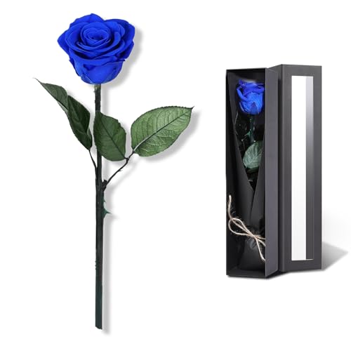 Image of Blue Flowers for Delivery Prime, Preserved Blue Roses Flower Gifts for Women, Real Roses Single Rose Gifts for Her, Mom Birthday Gifts from Daughter, Valentines Flowers