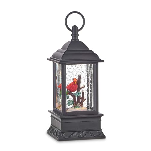 Lighted Snow Globe Lantern: 9.5 Inch, Black Holiday Water Lantern by RAZ Imports (Cardinal)
