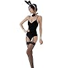 Bunny Kostuum Sexy Vrouwen Voor Vrouwen Vrouwen Konijn Kostuum Haute Sexy Bunny Bodysuit Cosplay Kostuum JK Party