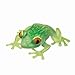 Squishy Stress Forest Frog (ea) - Giant 6" Animal Ooey Gooey Squeezable Toy (Colors Vary)