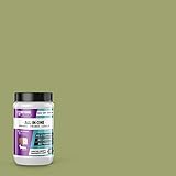 BEYOND PAINT - Furniture, Cabinets and More All-in-One Refinishing Paint- Quart -color: Sage