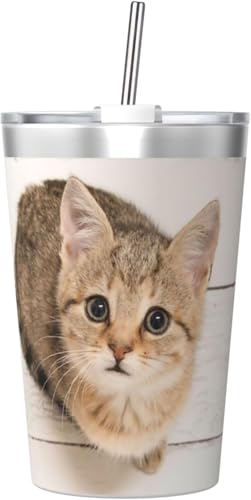 @r L  ˂ ^u[ 350ml XeX WƃXg[t ^fMRȂ ^  q ʋ ʊw 킢  v[g