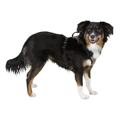 Kerbl Pet Hundegeschirr Pulsive, braun, 36-50 cm, 46-60cm
