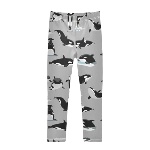 Cartoon Orca Killer Whale Girl's Leggings for Kids Toddler Girls Sweatpants Legging Pants Ballet Tights 4T