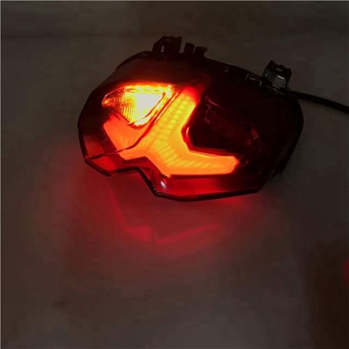 Luz trasera para MT09 2021 2022 que soluciona intermitentes rotos 4