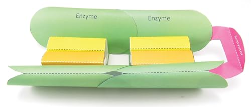 Image of NewPath Enzymes 3-D Paper Model Making Kit - Individual Student Edition (24-7720)