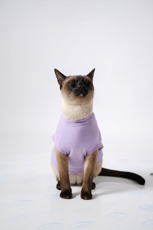 Image of Thunder Tails Printed Cat T-Shirt for Small to Large Cats & Kittens | Lightweight Breathable Cotton Pet Apparel | Cute & Stylish, Comfortable Round Neck Cat Clothes (XS, Lilac)