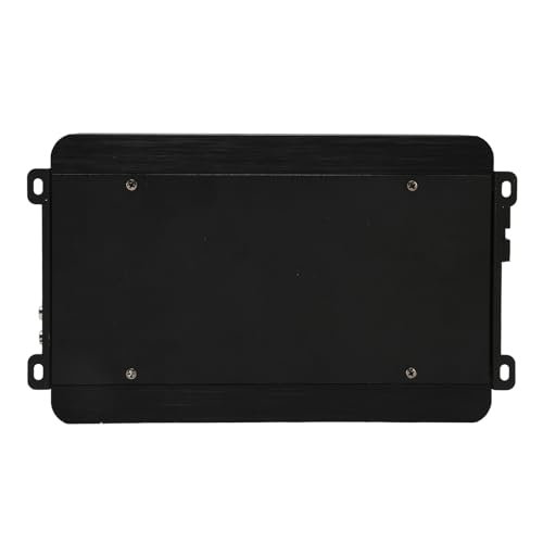 SHUAIGUO 12V Mono Channel High Power Amplifier for Deep Bass Sound