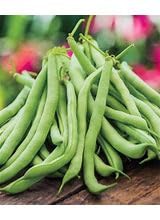 Simply Clean Foods Freeze Dried Green Beans - Non-GMO -