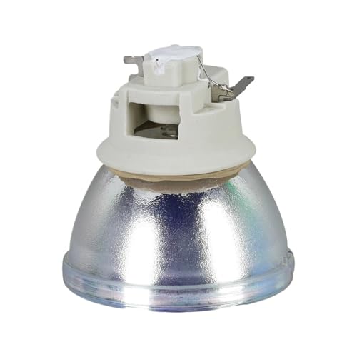 Module de Lampe de projecteur RLC-109 Compatible avec Les projecteurs ViewSonic PA503W / PG603W / VS16907 / PS501W / PS600W(RLC-109-CB)