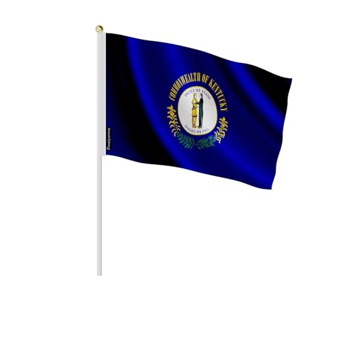 Mini drapeau Kentucky lot de 50 petits drapeaux US 14x21cm sur tige