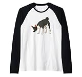 Photo Gallery basenji cane sniffing divertente maglia con maniche raglan Photo Gallery basenji cane sniffing divertente maglia con maniche raglan