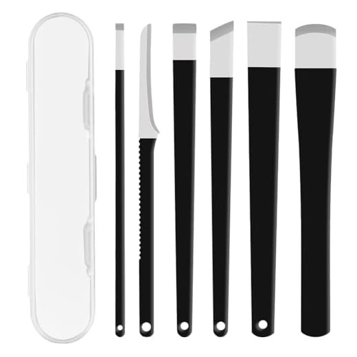 LOPHE Set de Herramientas para Pedicura, 6 Piezas Kit de Eliminación de Uñas Encarnadas, Cuchillos de Pedicura Profesionales, Acero Inoxidable Kit de Herramientas de Pedicura