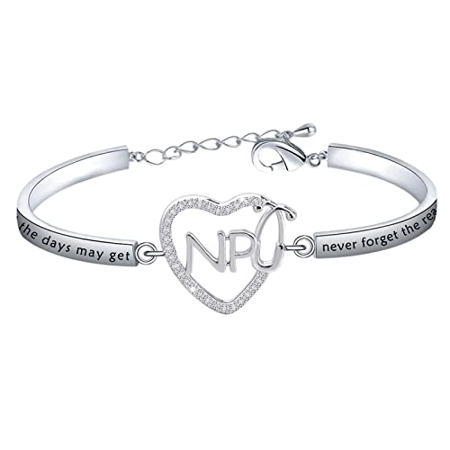 Porte-clés pour infirmière praticienne et bijou d'infirmière cadeau original fin d'études NP