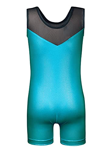Image of HOZIY Leotards for Girls Gymnastics Kids Children Biketard Snowflake Ribbon Blue Purple Hot Pink Sparkle