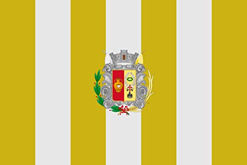 Drapeau de Bailén grand format pour intérieur et extérieur - 2