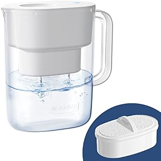 Waterdrop Lucid Water Purifier Water Filter Jug with 1×90 Days Filter, 3.5L, Reduces Fluoride, Chlorine and More, NSF Certified, BPA Free, White (Replacement Filter: WD-PF-01A Plus)