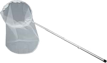 捕虫網２本 Amazon.co.jp: 志賀昆虫 捕虫網セット 上等本絹網タイプ 径36