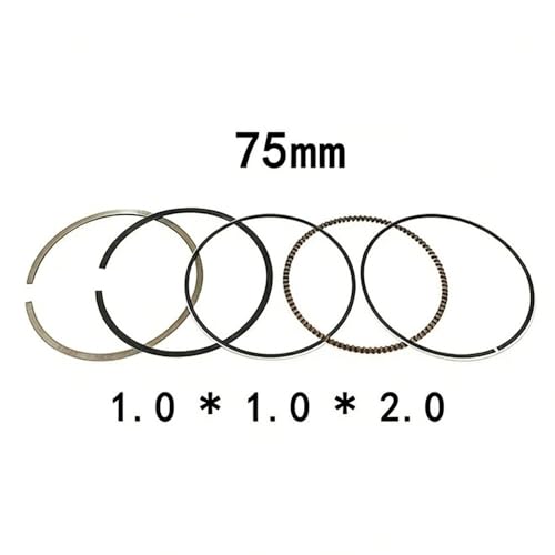 Segmentos de pistón 75mm de alta compresión para GTS300 y HD300 2