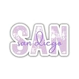 SAN San Diego Airport Code Travel Sticker, Multiple Colors, Vinyl Laptop Water Bottle Planner Journal, Places I've Been, Luggage Decal (Purple)