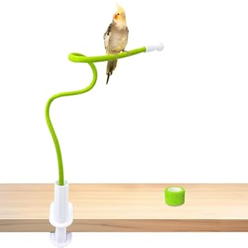 Tabletop Bird Perches for Finches - Are These the Best Choices? 2 tabletop bird perches for finches