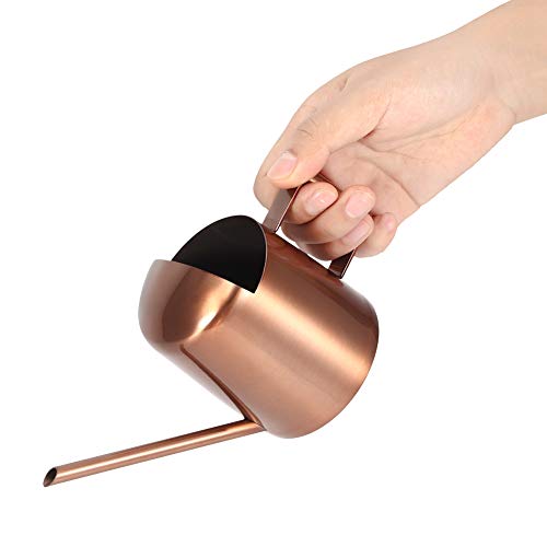 Small Watering Can, 10.2oz Stainless Steel Water Can for Indoor Plants Long Spout Watering Can Indoor Houseplant Watering Can for House Plants, Succulents and Bonsai