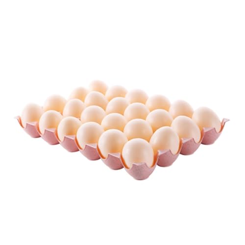 PATKAW Jbv[{bNX ①ɗphGbOgC Ռɋ[bN ̉^ ۊǂɕ֗ f