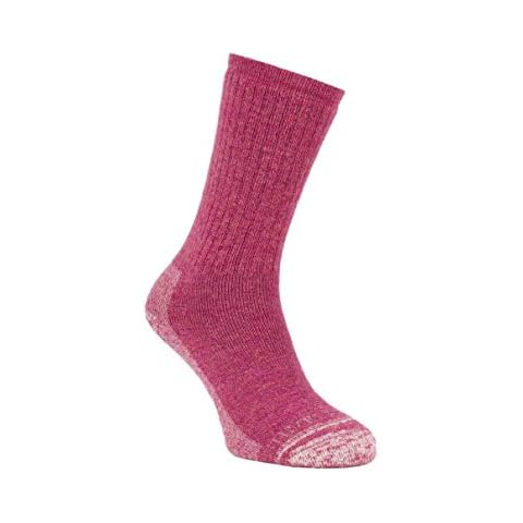 Silverpoint Alpaca Merino Hiker Socks Cover