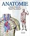 Produktbild Anatomie. Wunderwerk Mensch: Knochenbau - Muskulatur - Organe - Nervensystem