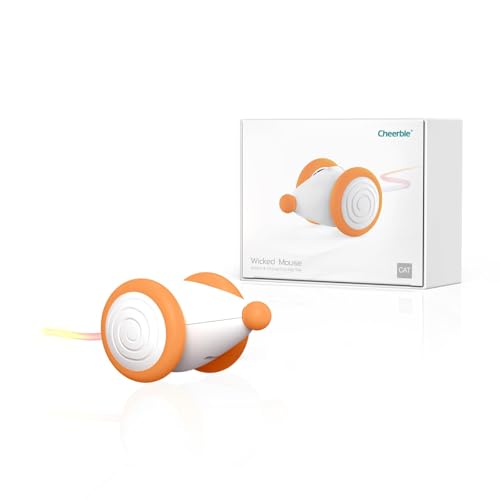 L  邵 C^NeBu EBLbh}EX