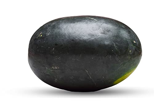 50 Black Diamond Watermelon Seeds For Planting - Heirloom Non-Gmo Fruit Seeds For Planting - Grows Big Giant Watermelons Averaging 30-50 Lbs #TOP7
