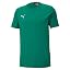 Teamgoal 23/Pepper Green