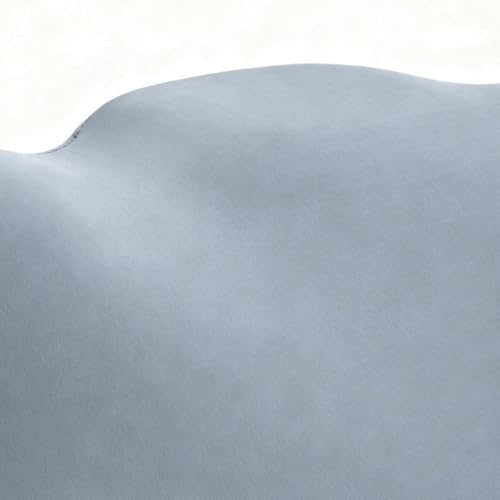 Mousse à mémoire de forme ergonomique Cloud avec support cervical pour lire et télévision