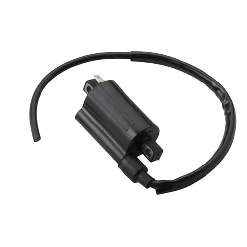 Bobina de encendido para moto Suzuki SV 650 y de alta cilindrada con gran aislamiento