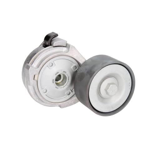 GATES T38559 Galet tendeur de courroie d'accessoire pour supprimer les sifflements