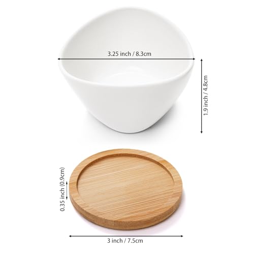 Foraineam Pacote com 12 mini vasos de suculentas, pequenos vasos de cerâmica para cactos, vasos de f