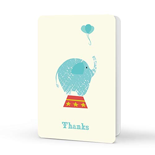 Image of Note Card & Sticker Set by Studio Oh! - Jubilee - Set of 12 - 3.5 inch x 5.25 inch Blank Cards with Envelopes and Stickers - Includes 3 Cards Each of 4 Designs