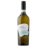 Terra Organica Pinot Grigio White Wine 12% ABV, 1 x 75cl - Rich and Fruity Italian Organic Wine - Award Winning White Wine - Produced by Family Run Winery - Makes for a Great White Wine Gift